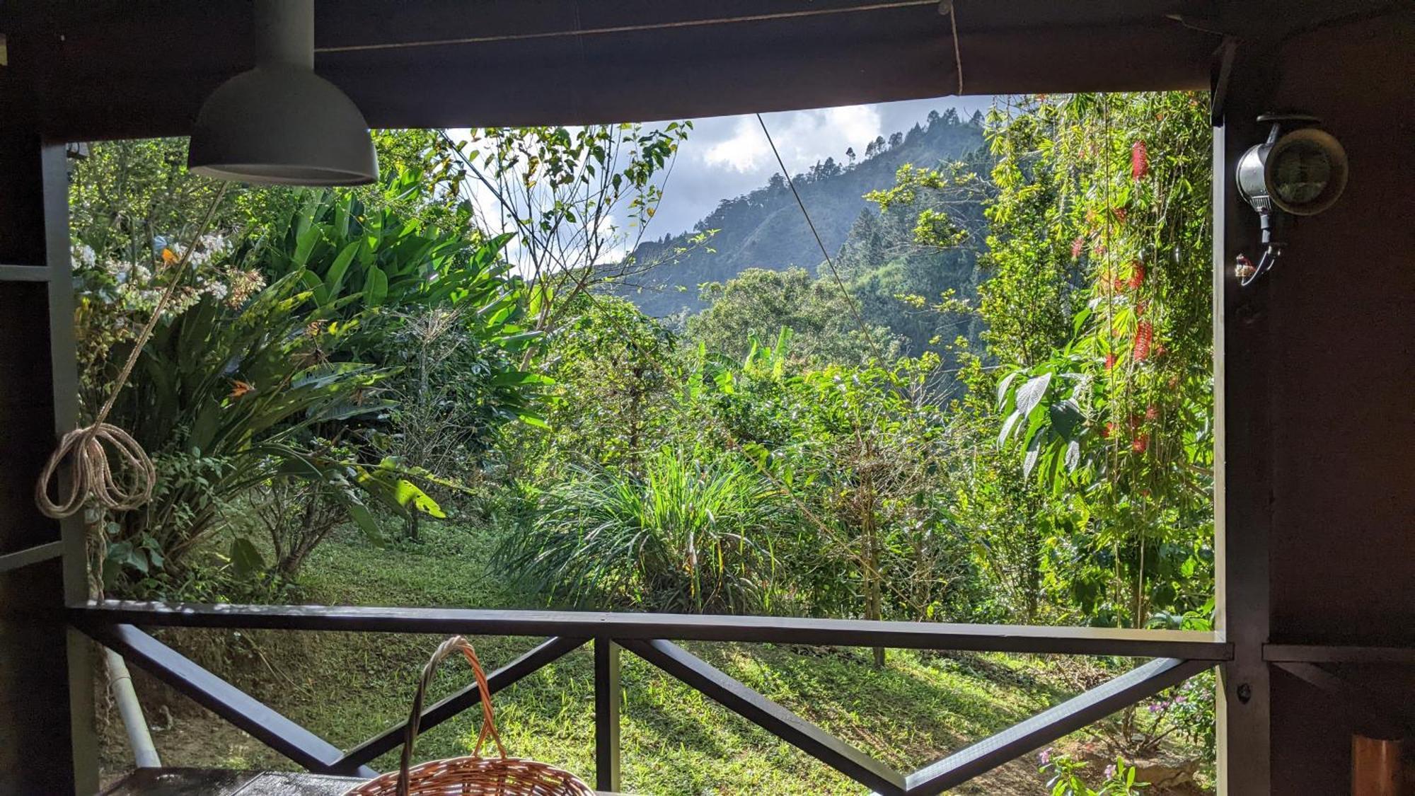 Lime Tree Farm, Blue Mountains Villa Mavis Bank Buitenkant foto