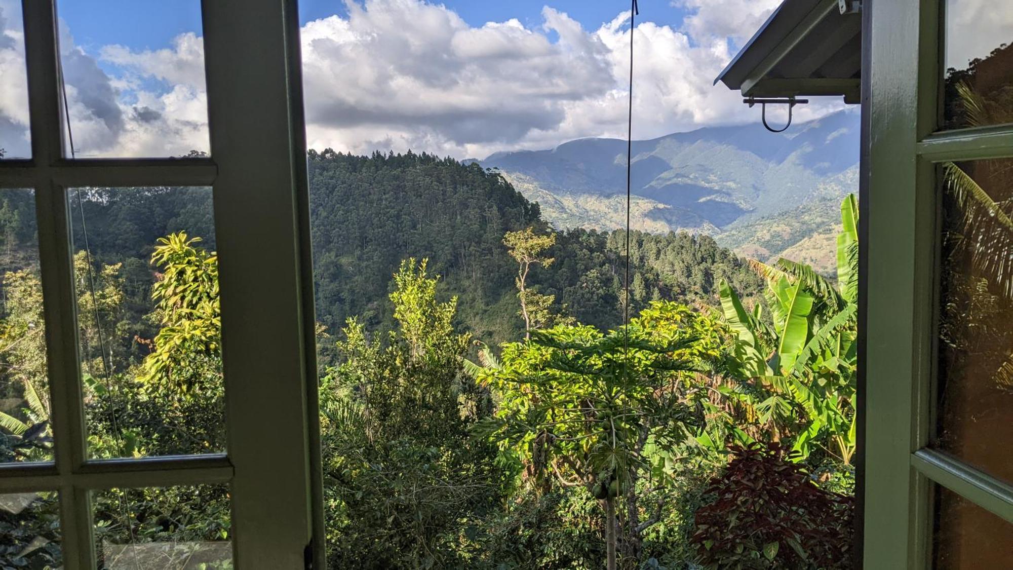 Lime Tree Farm, Blue Mountains Villa Mavis Bank Buitenkant foto